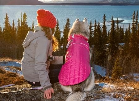 Chamarra Puffer para Perros en Azul Cyan - Imagen 3