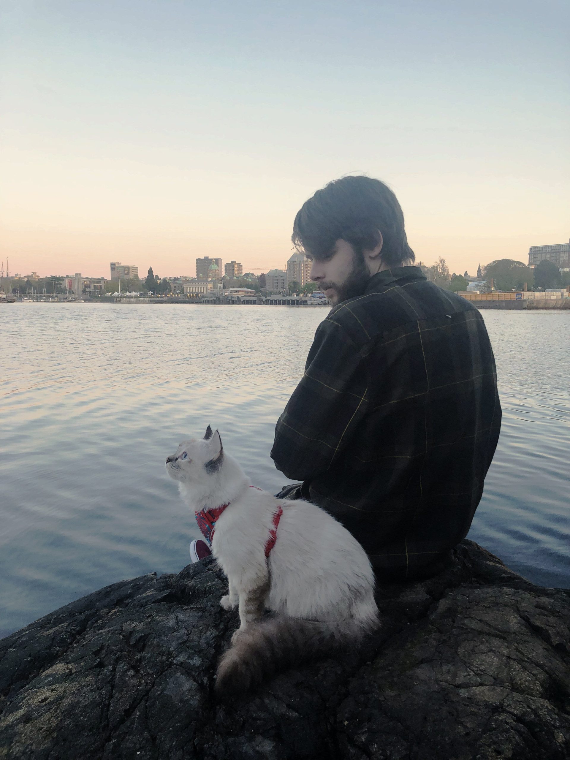 Arnes de Aventura para Gato -Color Negro Adventure Kitty Harness RC Pets - Imagen 5