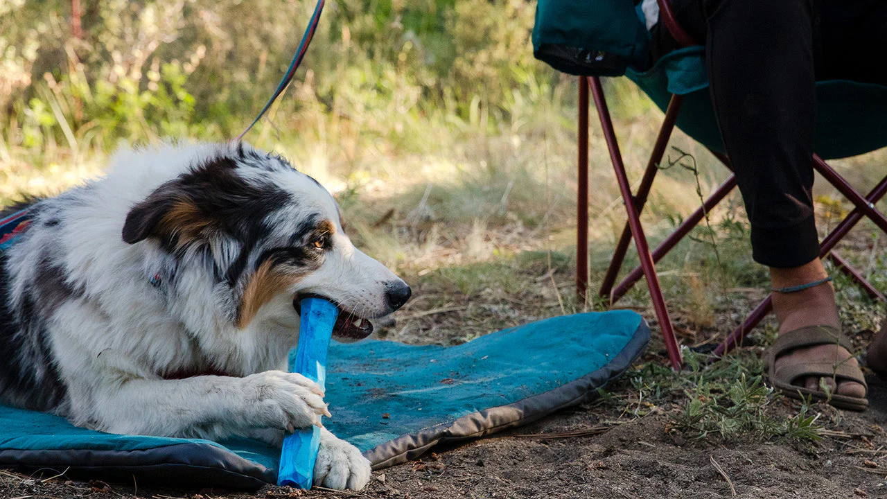 Gnawt-a-Stick™ Azul Glacial (Glacial Blue) | Juguete Flotante para Perros - Ruffwear® - Imagen 9