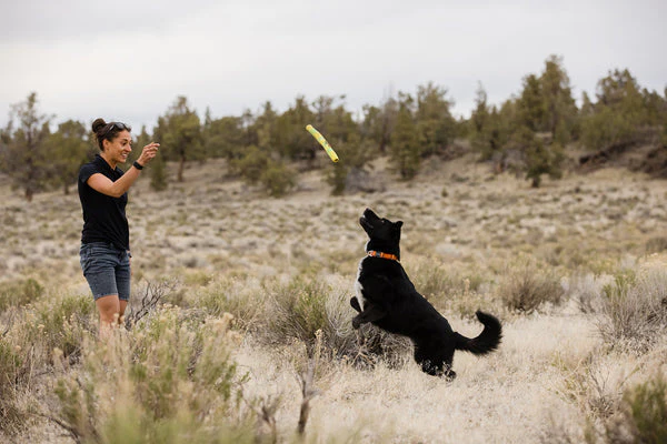 Gnawt-a-Stick™ Azul Glacial (Glacial Blue) | Juguete Flotante para Perros - Ruffwear® - Imagen 8