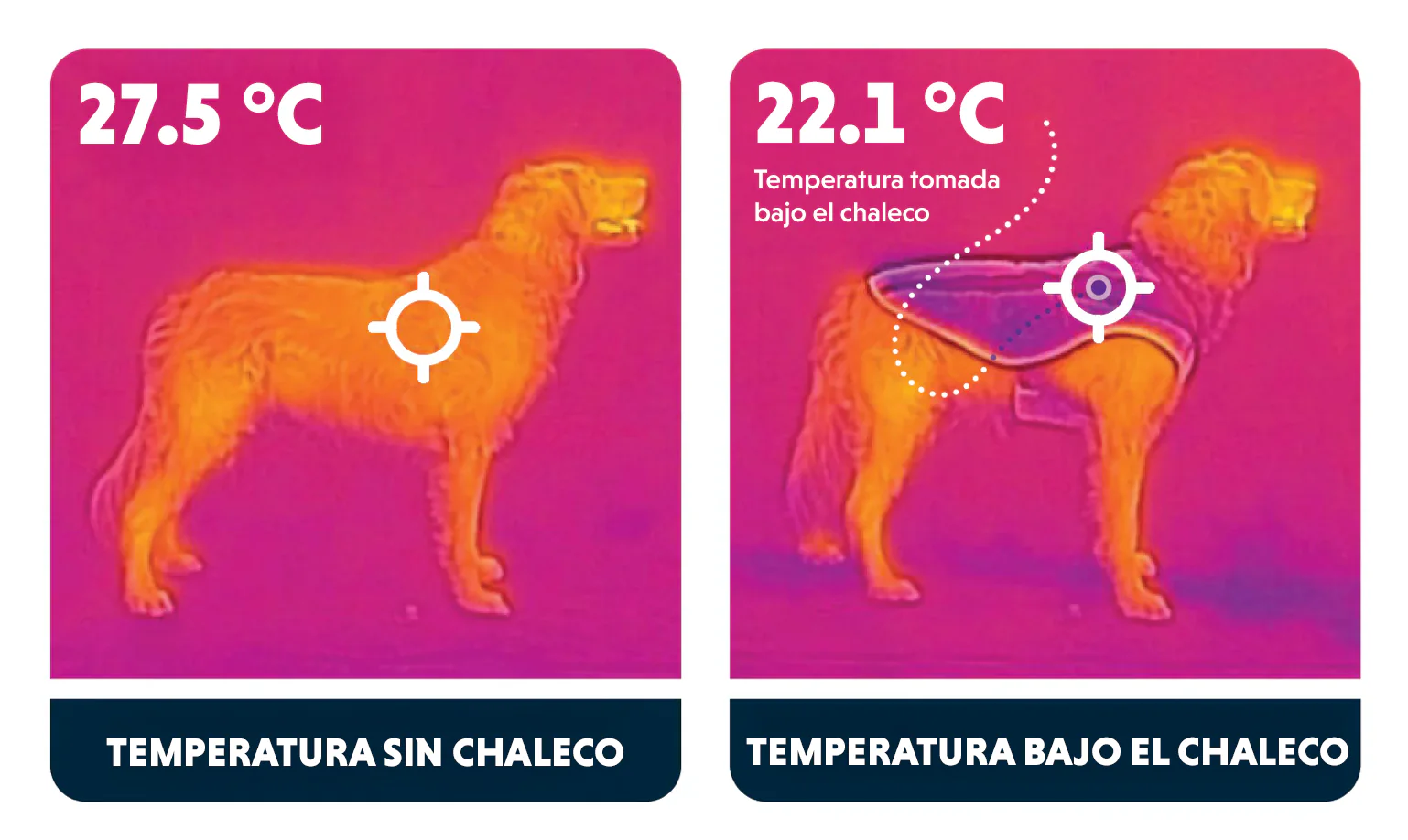 Chaleco de Enfriamiento Swamp Cooler Zip® para Perros - Gris (Graphite Gray) | Ruffwear® - Imagen 3