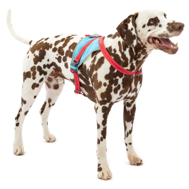 Pechera para Perros On-Trail Run-Lite de Kurgo® - Imagen 7