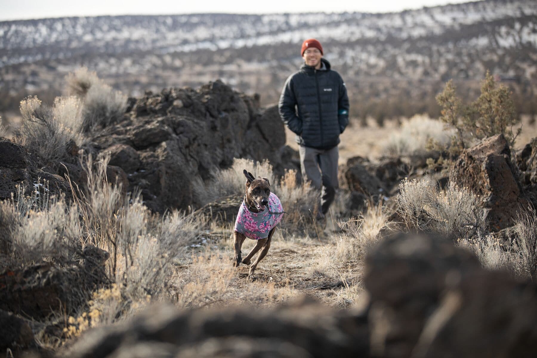 Climate Changer® en Verde Cedro Suéter de Felpa para Perros de Ruffwear® - Imagen 9