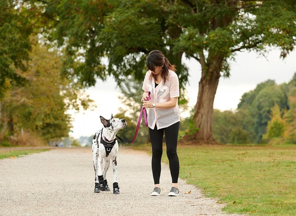 Guantes de Protección y Recuperación para Perros (2 Piezas) - Imagen 3